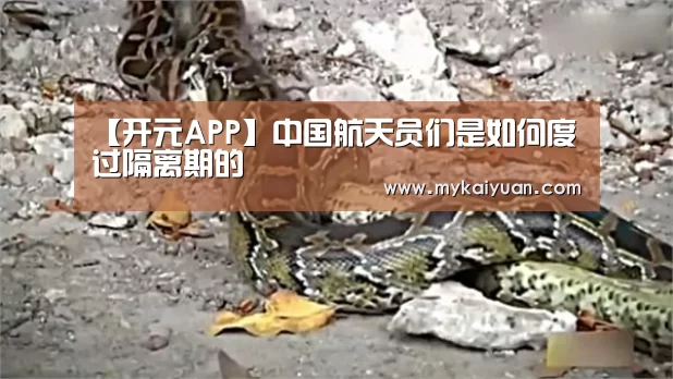 【开元APP】中国航天员们是如何度过隔离期的(图2) 开元APP