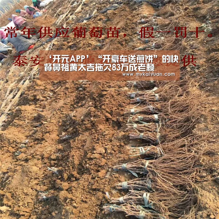 ‘开元APP’“开豪车送煎饼”的快餐鼻祖黄太吉拖欠83万成老赖(图1) 开元体育