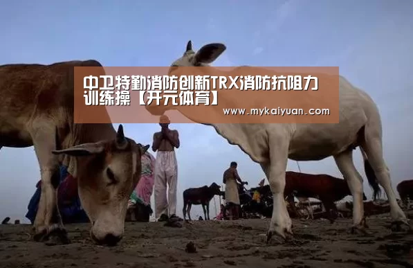 中卫特勤消防创新TRX消防抗阻力训练操【开元体育】(图3) 开元直播