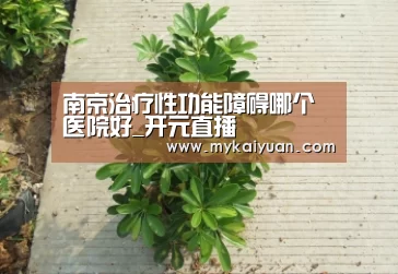 开元体育