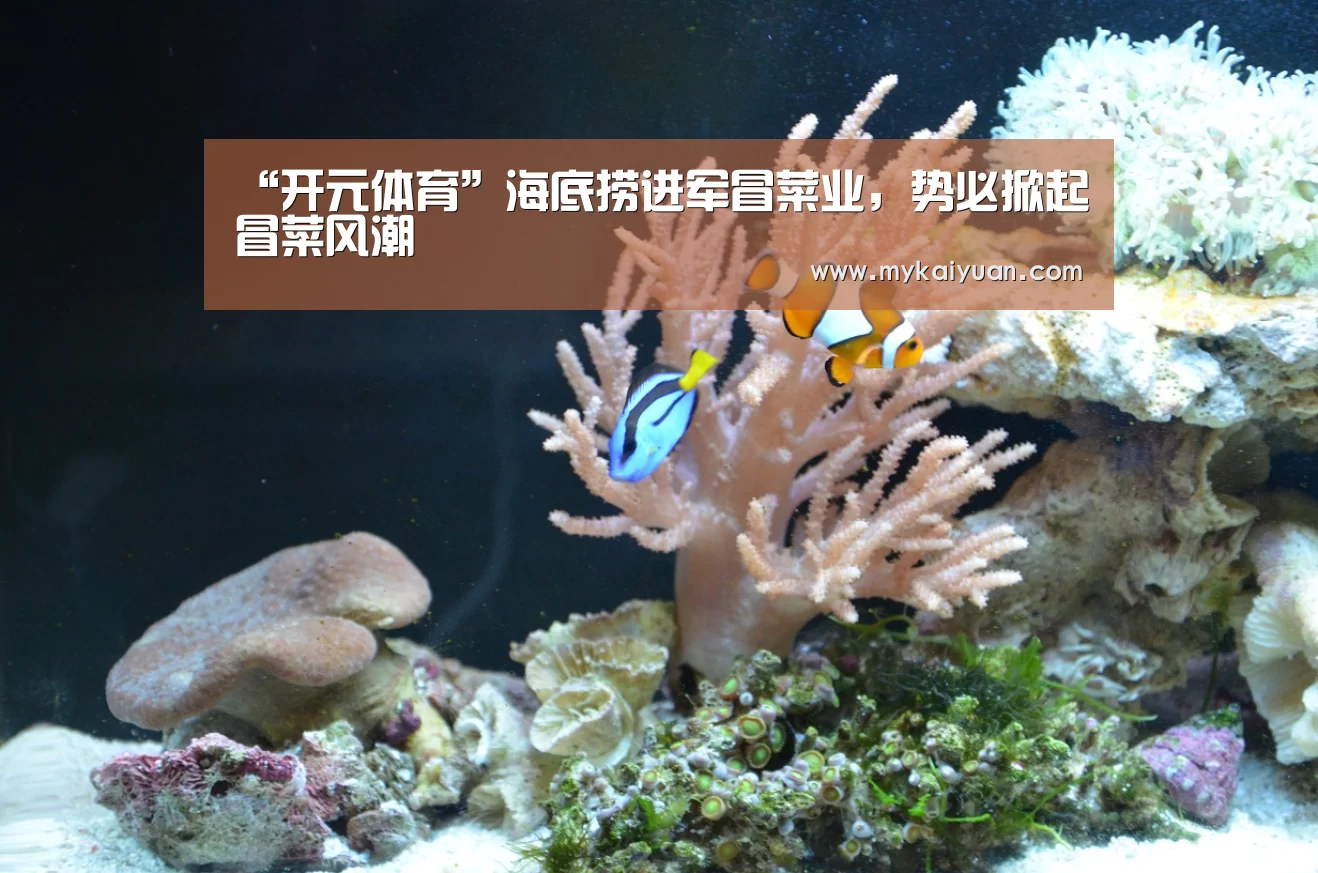 “开元体育”海底捞进军冒菜业,势必掀起冒菜风潮(图2) 开元体育