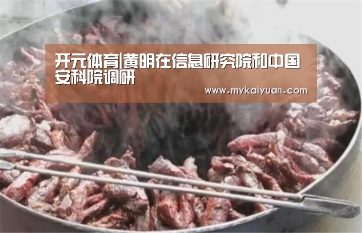 开元体育|黄明在信息研究院和中国安科院调研(图2) 开元官方