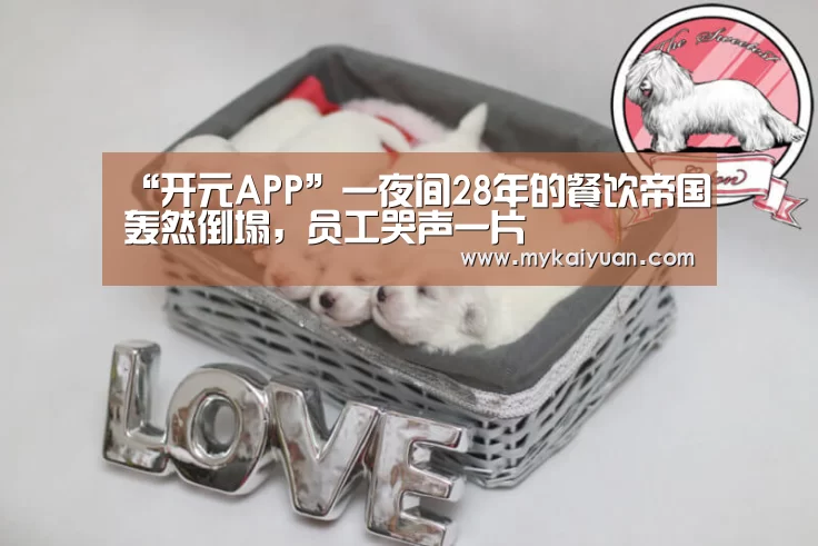 “开元APP”一夜间28年的餐饮帝国轰然倒塌,员工哭声一片(图1) 开元直播